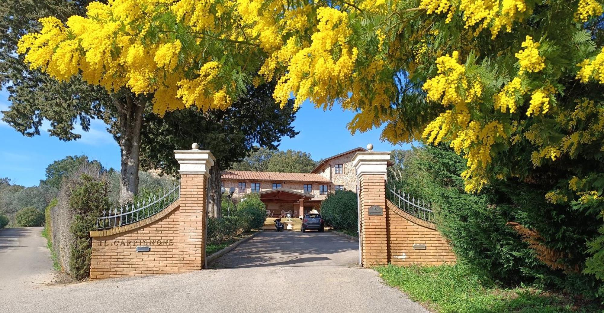 Agriturismo Capricorni Massa Marittima Exterior foto